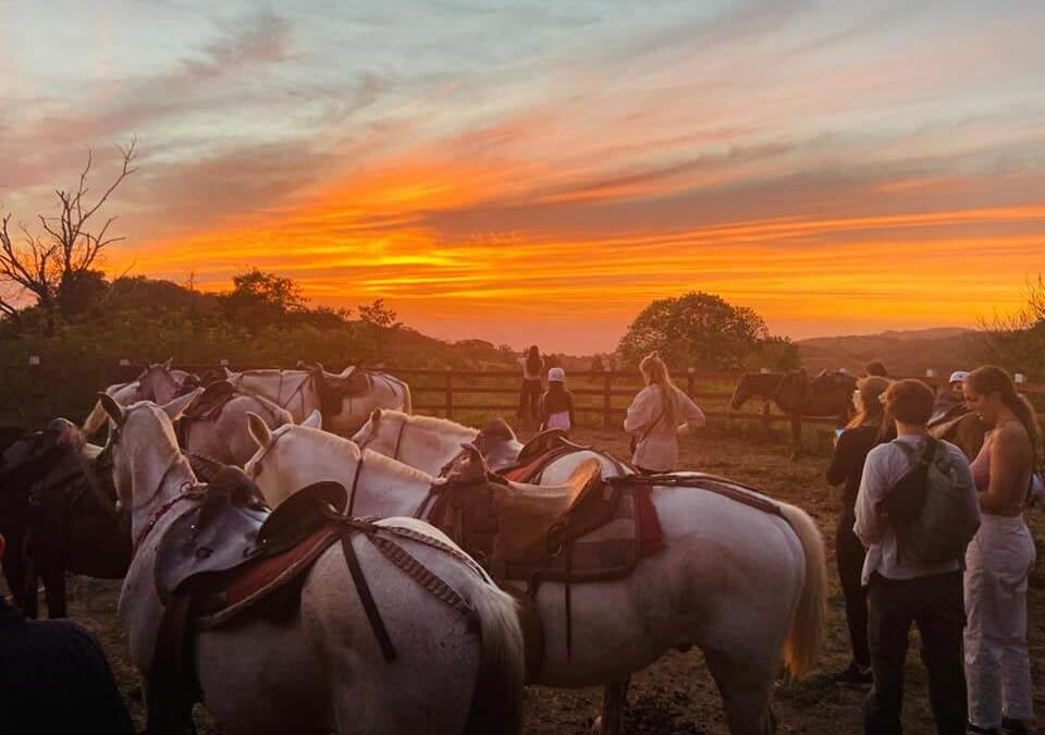 Monteverde Equus Farm